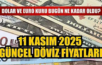 Dolar ve Euro kuru bugün ne kadar oldu?  11 Kasım 2025 güncel döviz fiyatları