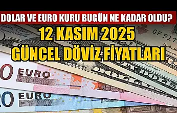 Dolar ve Euro kuru bugün ne kadar oldu?  12 Kasım 2025 güncel döviz fiyatları