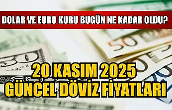 Dolar ve Euro kuru bugün ne kadar oldu?  20 Kasım 2025 güncel döviz fiyatları