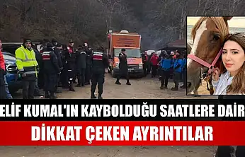 Elif Kumal'ın kaybolduğu saatlere dair dikkat çeken ayrıntılar