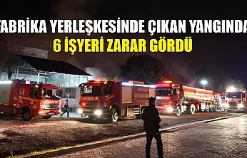 Fabrika yerleşkesinde çıkan yangında 6 işyeri zarar gördü
