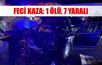 Feci kaza: 1 ölü, 7 yaralı