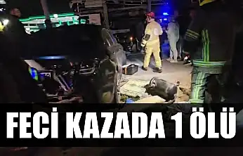 Feci kaza: 1 ölü
