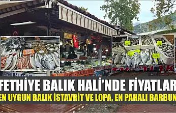 Fethiye Balık Hali'nde fiyatlar: En uygun balık istavrit ve lopa, en pahalı barbun