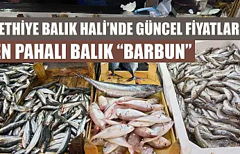 Fethiye Balık Hali'nde güncel fiyatlar: En pahalı balık 'Barbun'
