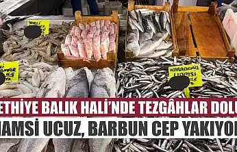Fethiye Balık Hali'nde tezgâhlar dolu: Hamsi ucuz, Barbun cep yakıyor