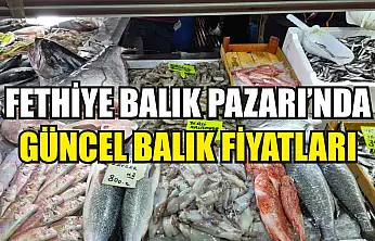 Fethiye Balık Pazarı'nda güncel balık fiyatları
