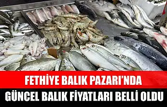 Fethiye Balık Pazarı'nda Güncel Balık Fiyatları Belli Oldu