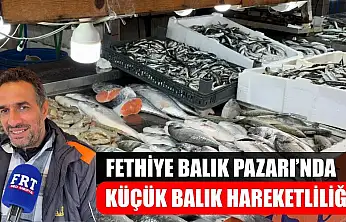 Fethiye Balık Pazarı'nda Küçük Balık Hareketliliği