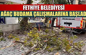 Fethiye Belediyesi Ağaç Budama Çalışmalarına Başladı