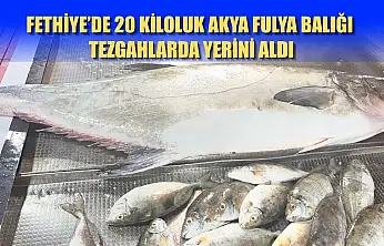 Fethiye'de 20 kiloluk Akya Fulya balığı tezgahlarda yerini aldı