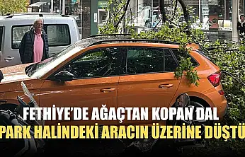 Fethiye'de ağaçtan kopan dal park halindeki aracın üzerine düştü