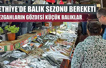 Fethiye'de balık sezonu bereketi: Tezgahların gözdesi küçük balıklar