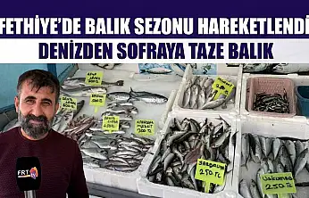 Fethiye'de balık sezonu hareketlendi: Denizden sofraya taze balık