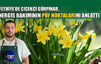 Fethiye'de Çiçekçi Gürpınar, nergis bakımının püf noktalarını anlattı