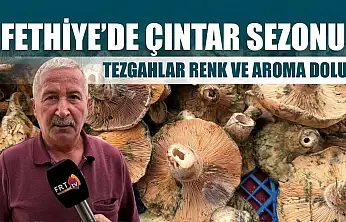 Fethiye'de çıntar sezonu: Tezgahlar renk ve aroma dolu