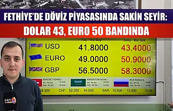 Fethiye'de Döviz Piyasasında Sakin Seyir: Dolar 43, Euro 50 Bandında