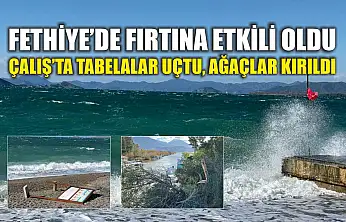 Fethiye'de fırtına etkili oldu: Çalış'ta tabelalar uçtu, ağaçlar kırıldı
