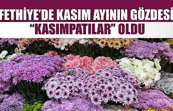 Fethiye'de Kasım ayının gözdesi 'Kasımpatılar' oldu