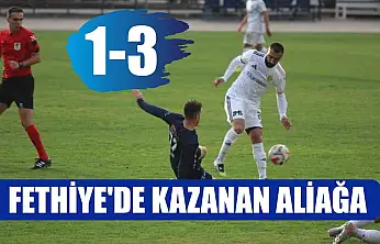 Fethiye'de Kazanan Aliağa: 1-3