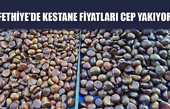 Fethiye'de Kestane Fiyatları Cep Yakıyor