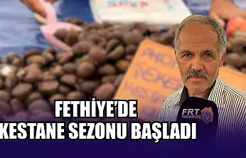 Fethiye'de kestane sezonu başladı