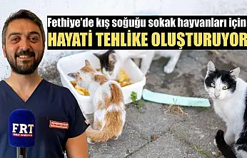 Fethiye'de kış soğuğu sokak hayvanları için hayati tehlike oluşturuyor
