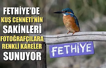 Fethiye'de Kuş Cenneti'nin sakinleri, fotoğrafçılara renkli kareler sunuyor