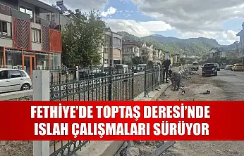 Fethiye'de Toptaş Deresi'nde Islah Çalışmaları Sürüyor