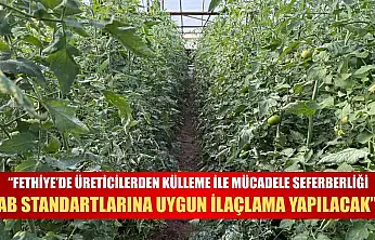 'Fethiye'de üreticilerden külleme ile mücadele seferberliği: AB Standartlarına uygun ilaçlama yapılacak'