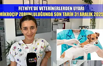 Fethiye'de veterinerlerden uyarı: Mikroçip zorunluluğunda son tarih 31 Aralık 2025