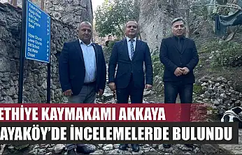 Fethiye Kaymakamı Akkaya, Kayaköy'de incelemelerde bulundu