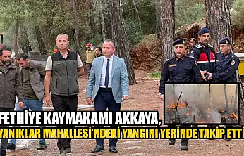 Fethiye Kaymakamı Akkaya, Yanıklar Mahallesi'ndeki yangını yerinde takip etti