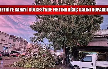 Fethiye Sanayi Bölgesi'nde Fırtına Ağaç Dalını Kopardı