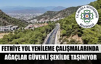 Fethiye Yol Yenileme Çalışmalarında Ağaçlar Güvenli Şekilde Taşınıyor