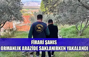 Firari şahıs ormanlık arazide saklanırken yakalandı