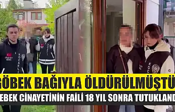 Göbek bağıyla öldürülmüştü: Bebek cinayetinin faili 18 yıl sonra tutuklandı