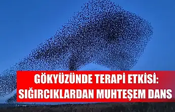 Gökyüzünde terapi etkisi: Sığırcıklardan muhteşem dans
