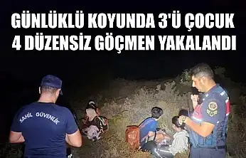 Günlüklü koyunda 3'ü çocuk 4 düzensiz göçmen yakalandı