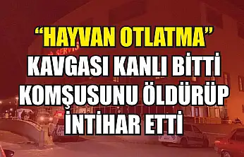 'Hayvan otlatma' kavgası kanlı bitti: Komşusunu öldürüp intihar etti