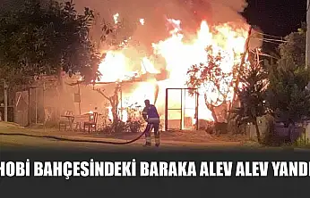 Hobi bahçesindeki baraka alev alev yandı