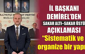 İl Başkanı Demirel'den Sakar Altı–Sakar Üstü açıklaması:  'Sistematik ve organize bir yapı'