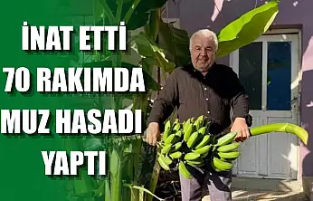 İnat etti, 70 rakımda muz hasadı yaptı