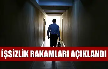 İşsizlik rakamları açıklandı