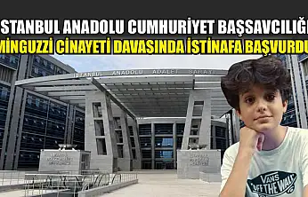 İstanbul Anadolu Cumhuriyet Başsavcılığı, Minguzzi cinayeti davasında istinafa başvurdu