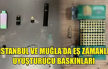 İstanbul ve Muğla'da Eş Zamanlı Uyuşturucu Baskınları