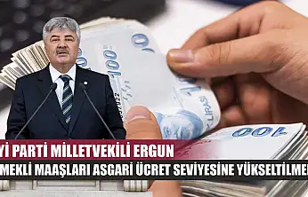 İYİ Parti Milletvekili Ergun: 'Emekli Maaşları Asgari Ücret Seviyesine Yükseltilmeli'