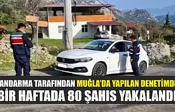 Jandarma tarafından Muğla'da yapılan denetimde bir haftada 80 şahıs yakalandı