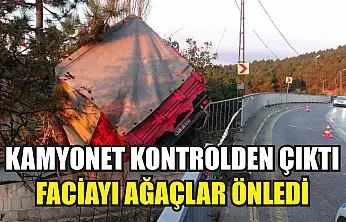 Kamyonet kontrolden çıktı: Faciayı ağaçlar önledi