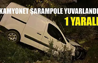 Kamyonet şarampole yuvarlandı: 1 yaralı